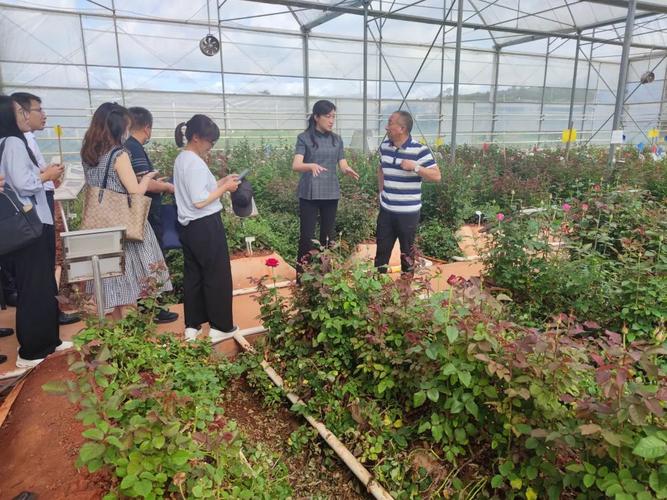 政府县长付红瑜带队赴昆明市考察对接花卉产业项目